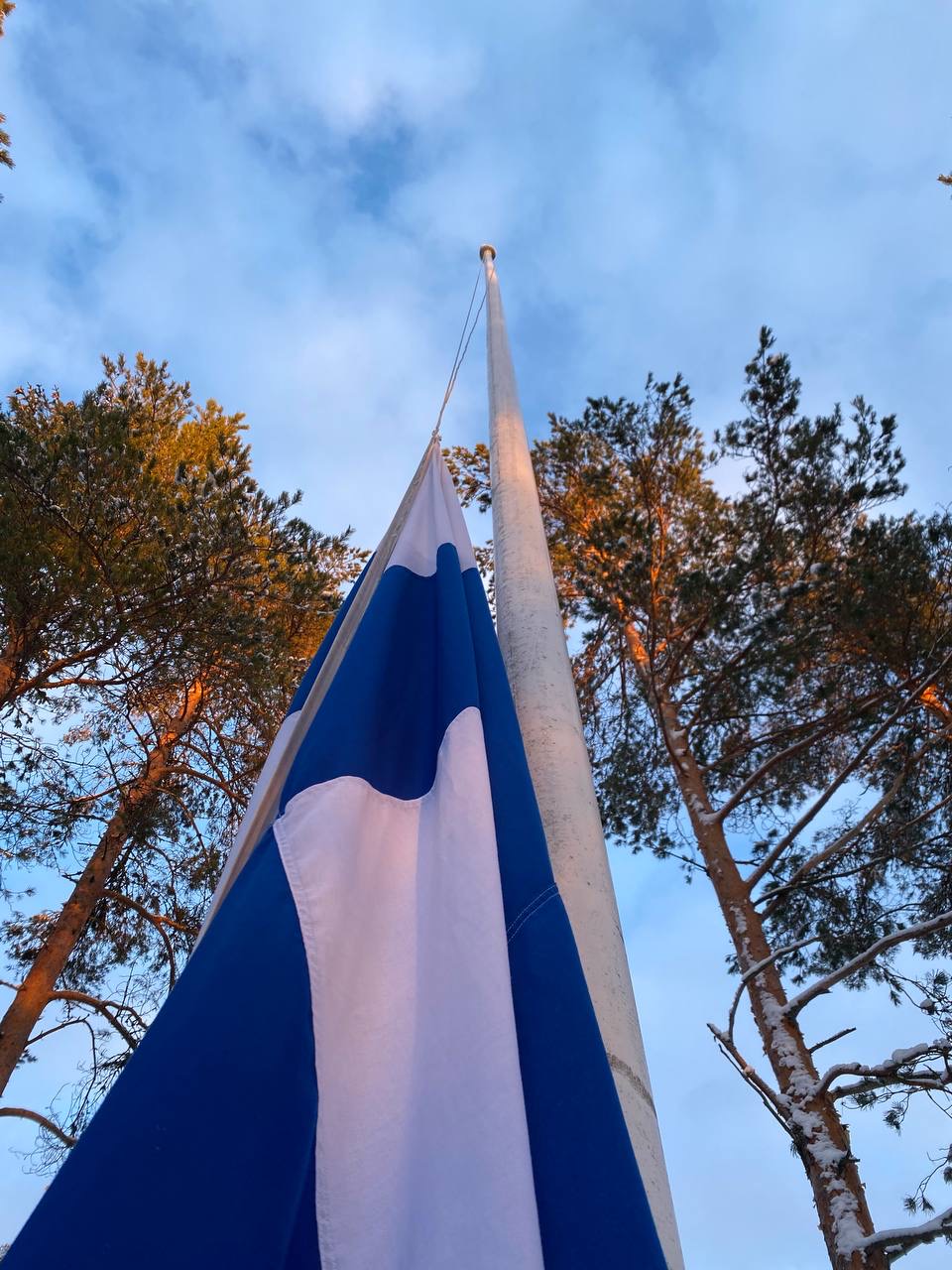Finlands flagga 