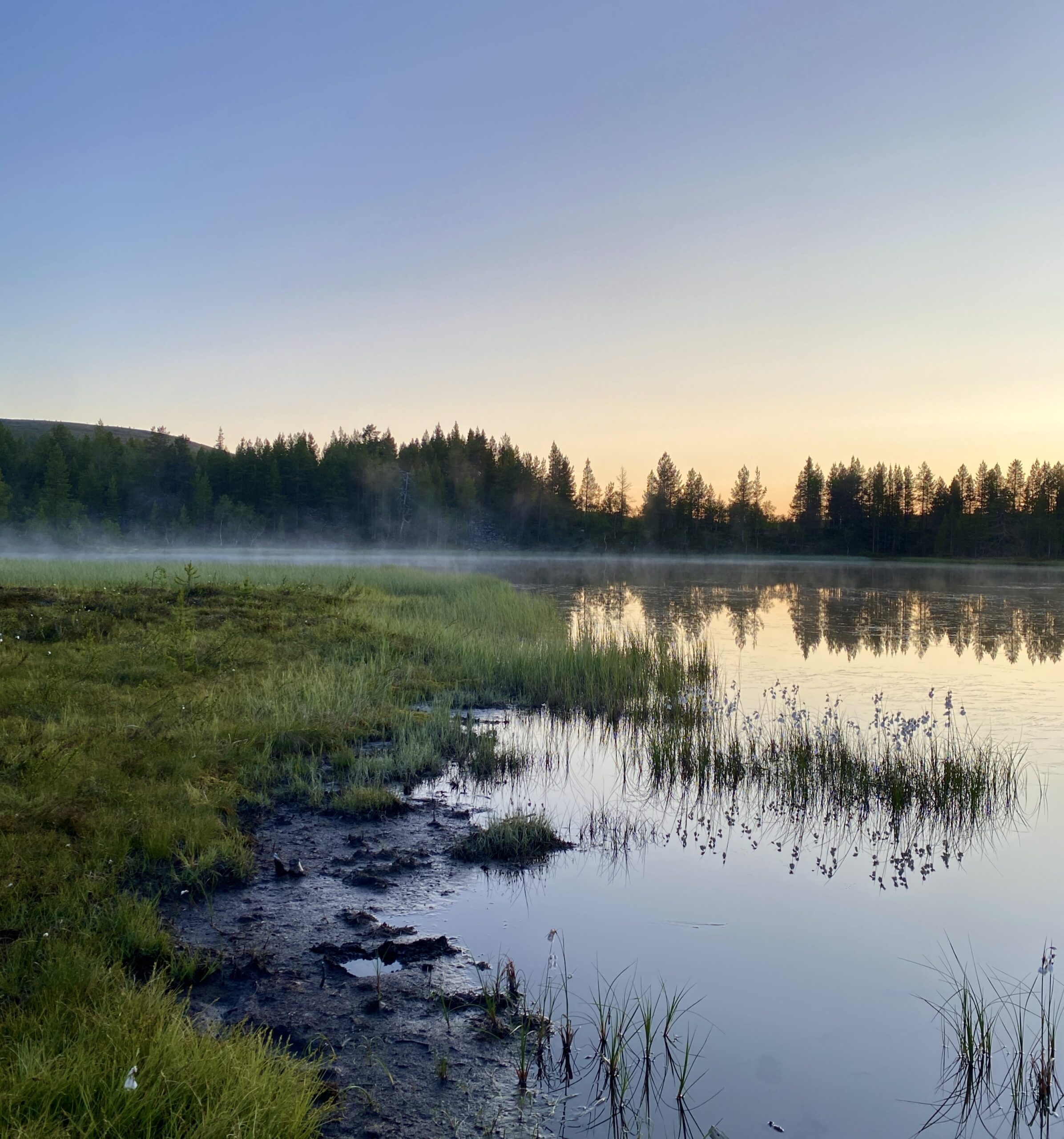 Solnedgången över vattnet och skogen i Lappland 