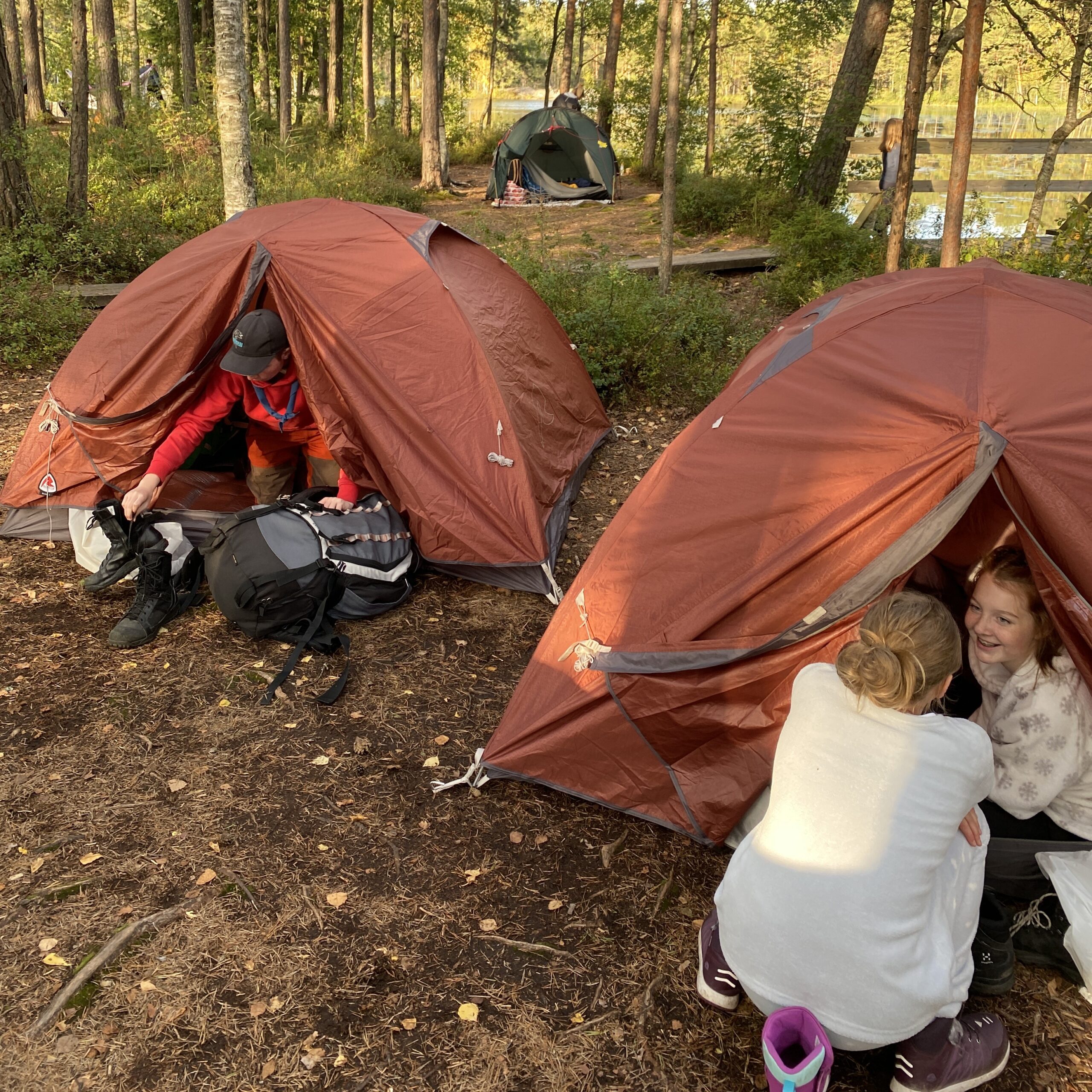 Två tält är uppsatta i skogen och solen lyser mot dem medan några scouter disskuterar vid tälten.