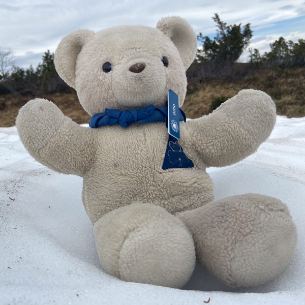 Helsingfors KFUK/M Scouters maskot Bobo sitter ute i snön. Bobo på äventyr.