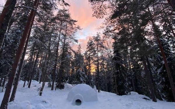 Solnedgången över vattnet och skogen i Lappland